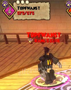 Topfwanst topfwanst