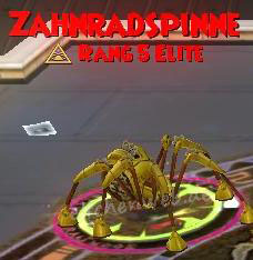 Zahnradspinne zahnradspinne