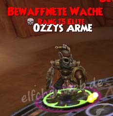 bewaffnete wache