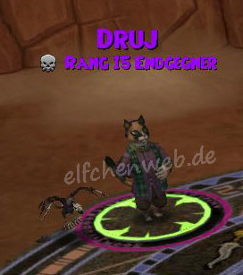 Druj druj