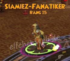 Siamiez-Fanatiker (Balance) siamiez-Fanatiker (Balance)