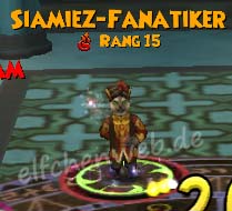 siamiez-Fanatiker (Feuer)