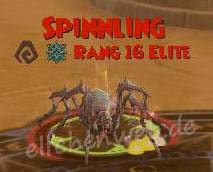 Spinnling spinnling