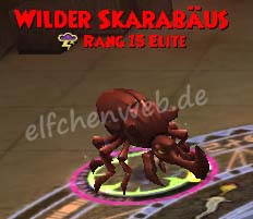 Wilder Skarabäus wilder Skarabäus