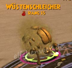 Wüstenschleicher wüstenschleicher