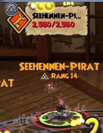 Seehennen-Pirat seehennen-pirat