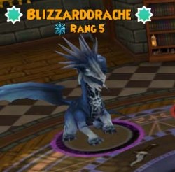 Blizzarddrache blizzarddrache