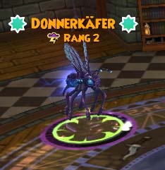 Donnerkäfer donnerkäfer