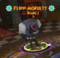 Flipp McNulty flipp mcnulty