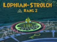 Lophian-Strolch lophian-Strolch