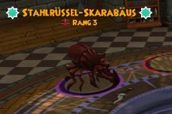 Stahlrüssel-Skarabäus stahlrüssel-skarabäus