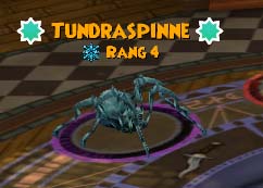 Tundraspinne tundraspinne