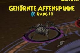 Gehörnte Affenspinne gehörnte affenspinne