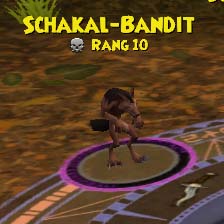 Schakal-Bandit schakal-bandit