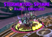 Sternentod-Spinne sternentod-Spinne
