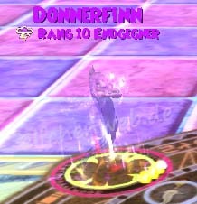 donnerfinn