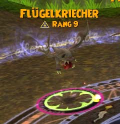 Flügelkriecher flügelkriecher