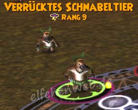 Verrücktes Schnabeltier verrücktes Schnabeltier