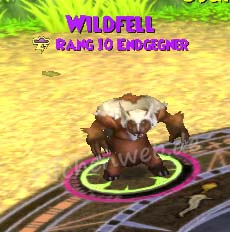 Wildfell wildfell