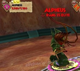 Alpheus alpheus