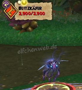 Blitzkäfer blitzkäfer
