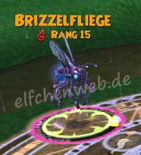 Brizzelfliege brizzelfliege