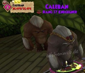Caleban caleban