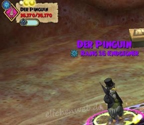 Der Pinguin der pinguin