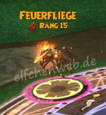 Feuerfliege feuerfliege