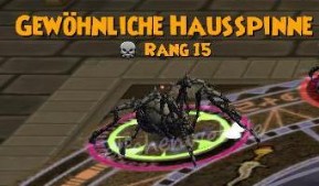 Gewöhnliche Hausspinne gewöhnliche hausspinne