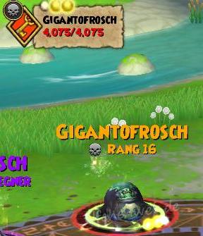 Gigantofrosch gigantofrosch