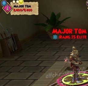 Major Tom (Rang 15 Elite) major tom (rang 15 elite)