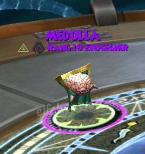 Medulla medulla