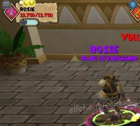 ROS1E ros1e