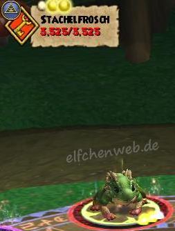 Stachelfrosch stachelfrosch