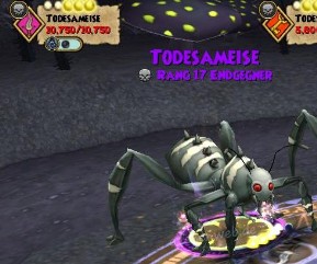 Todesameise Rang 17 todesameise rang 17