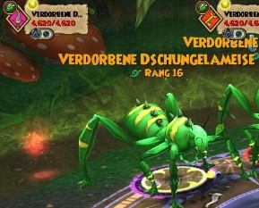 Verdorbene Dschungelameise verdorbene dschungelameise