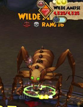 Wilde Ameise wilde ameise