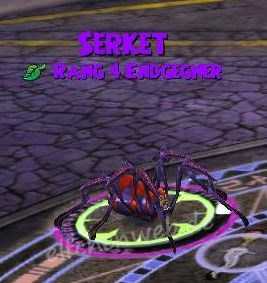 Serket serket