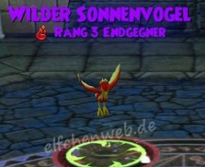 Wilder Sonnenvogel wilder Sonnenvogel