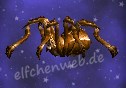 Spinne