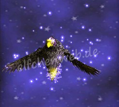 donnervogel