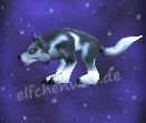 Eis-Hund