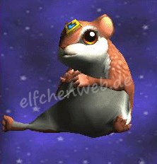 flughörnchen