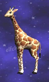 giraffe