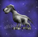 Jagd-Hund