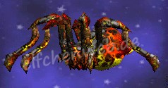 Lava-Spinne