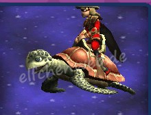 Schildkröte