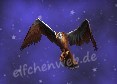Nacht-Falke
