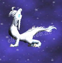 Elfenbeindrache